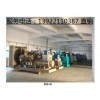 廣州與佛山柴油發(fā)電機組廠家 能源行業(yè)的可靠供應商